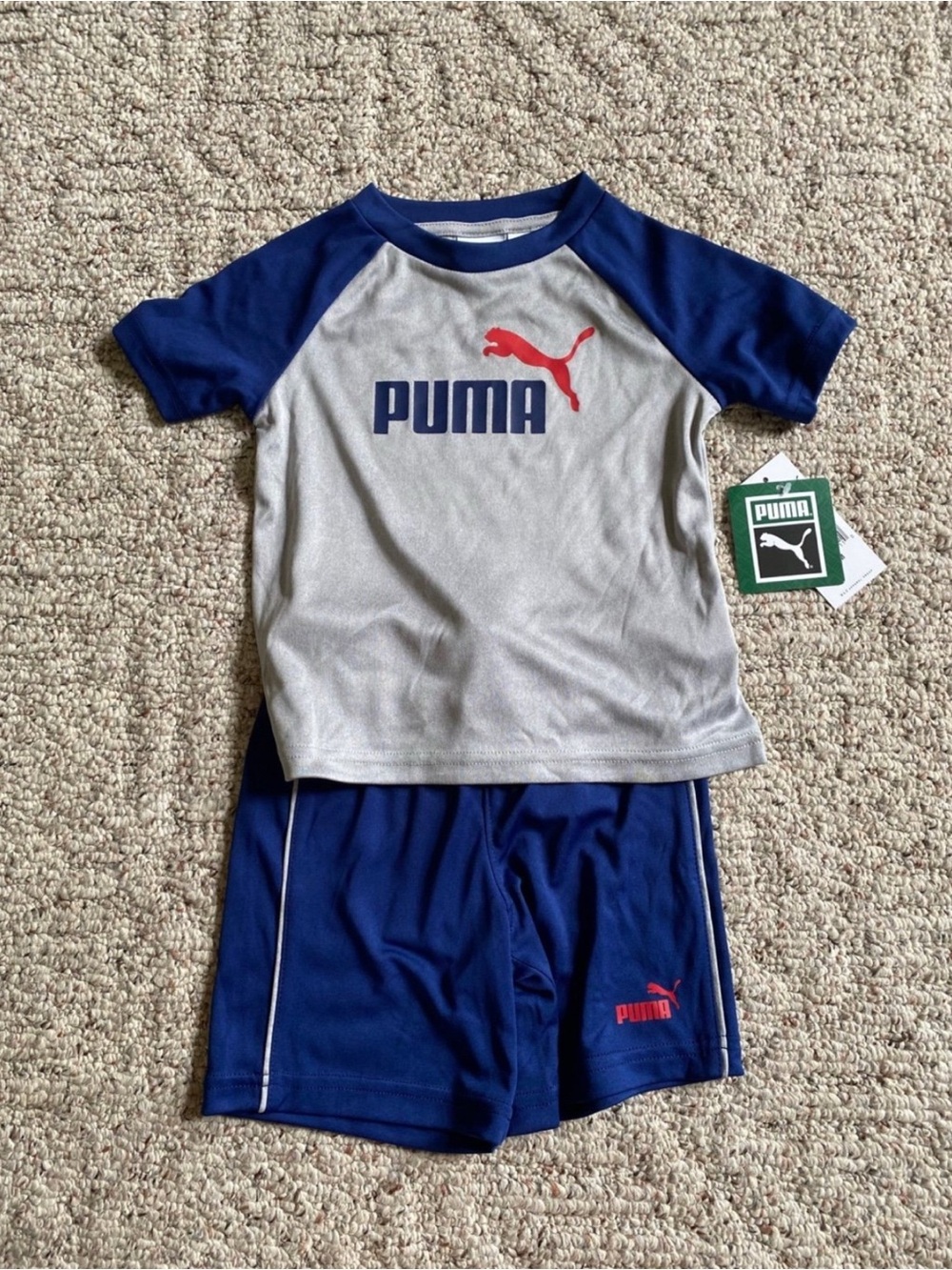 Puma Gray & Royal Blue Boys Athletic Tee and Shorts Set